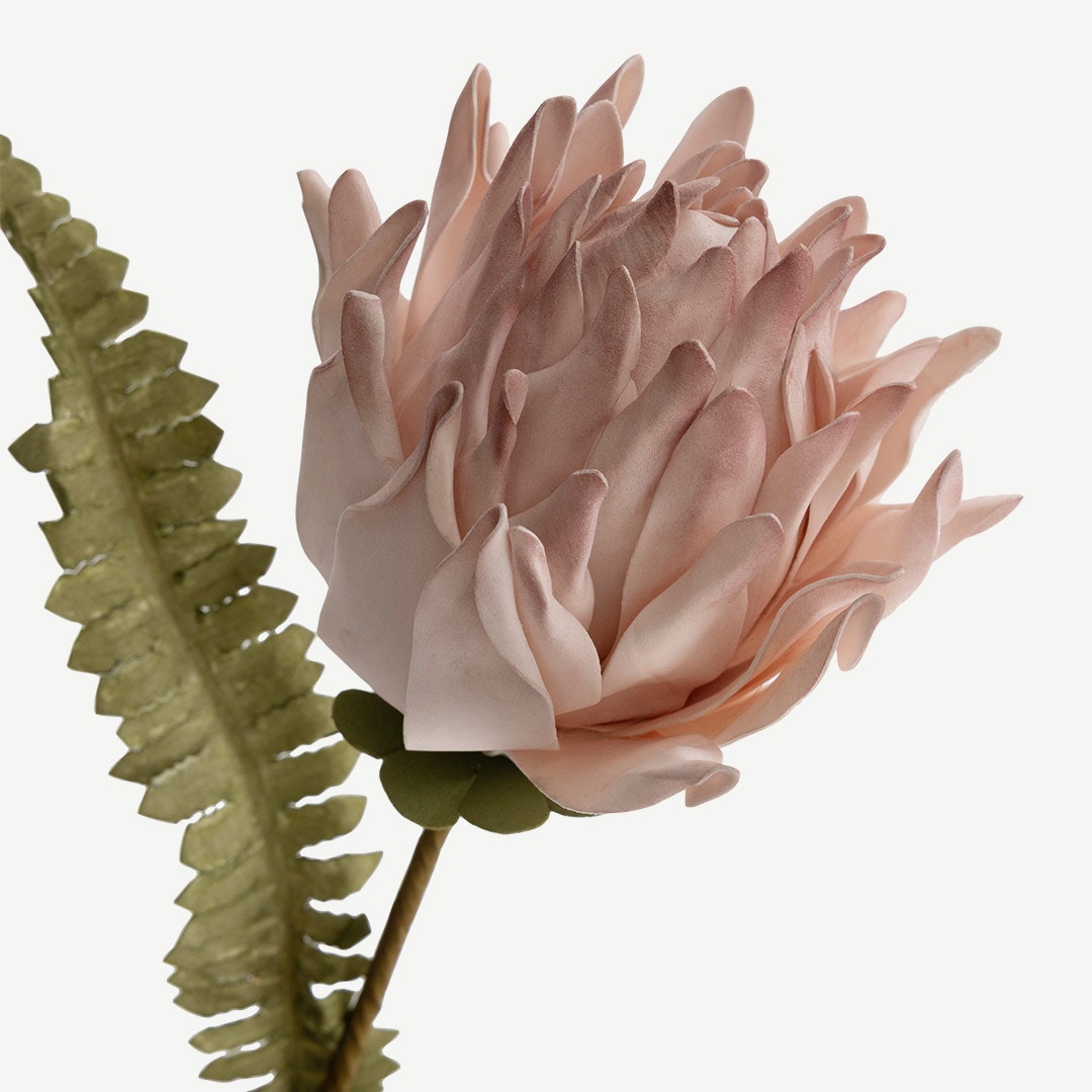 ساق زهرة داليا - وردي