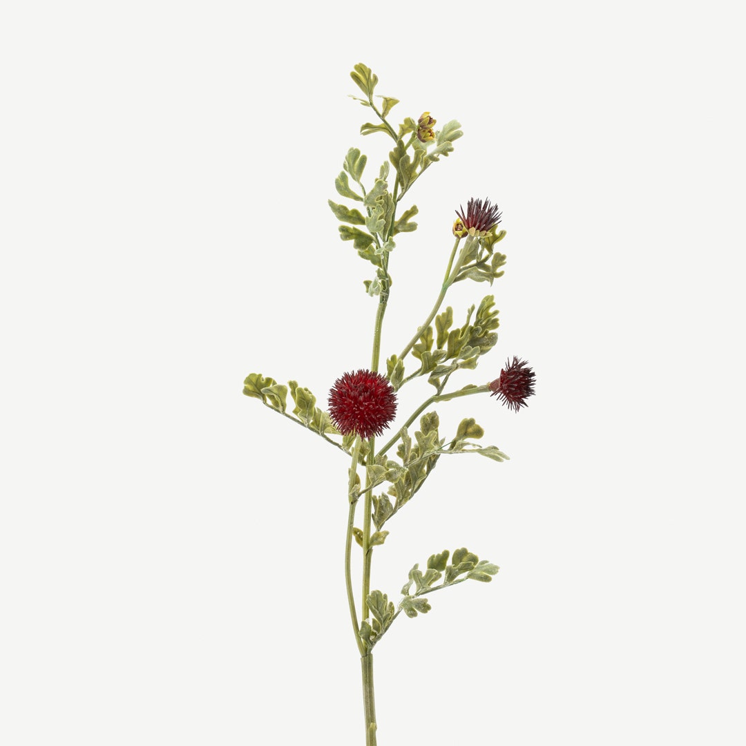 Dandelion Flower Set Burgundy