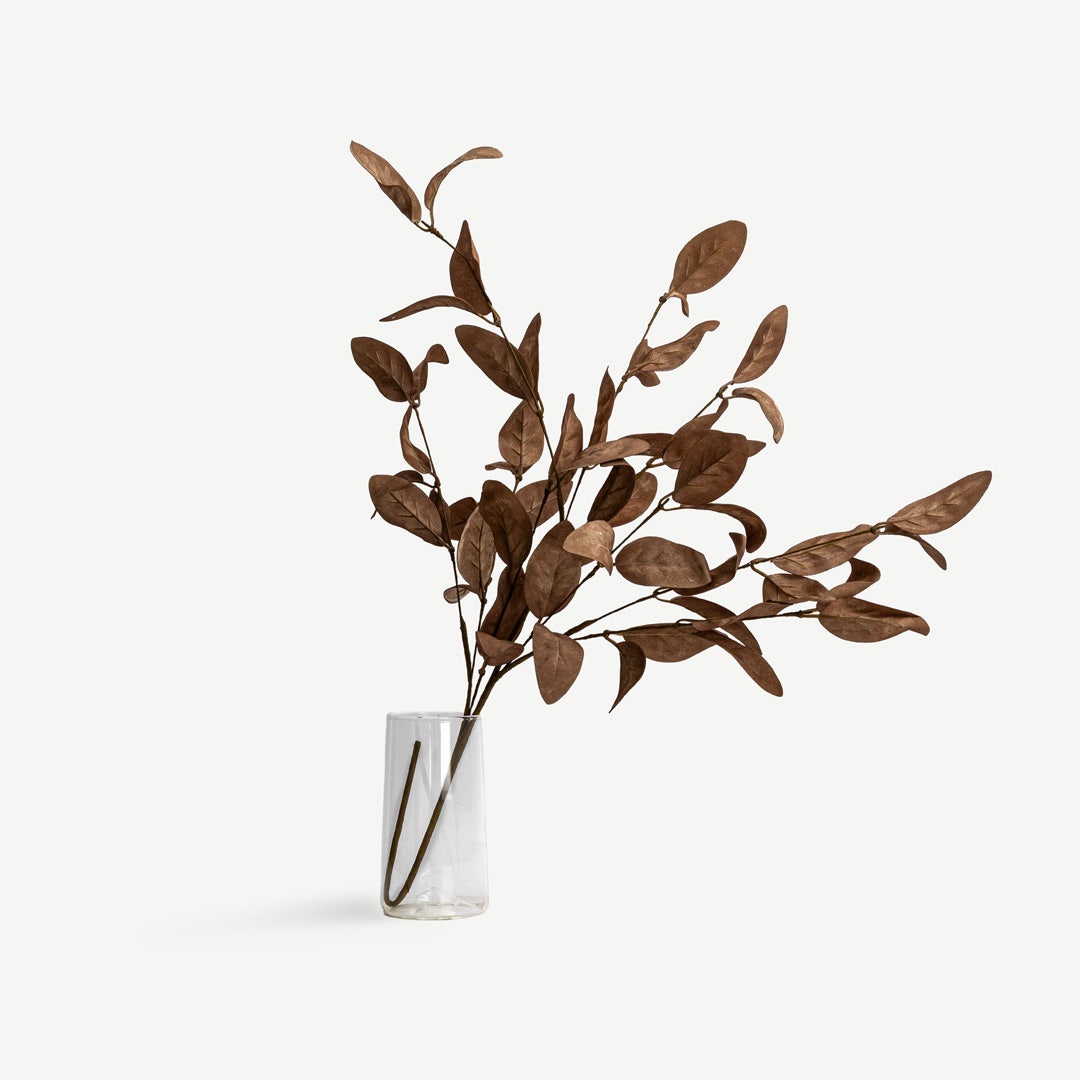 Eucalyptus Leaves - Brown