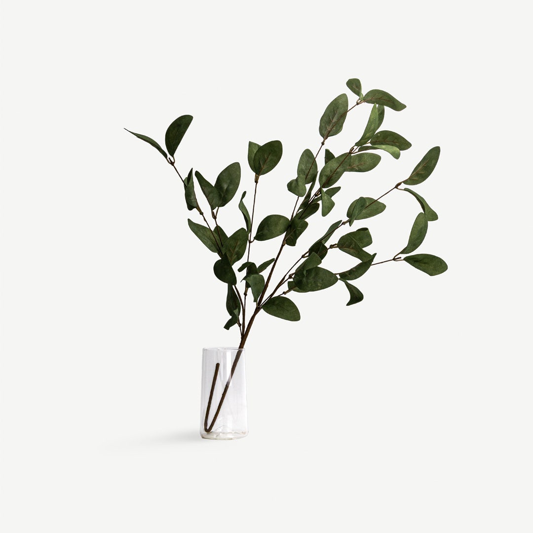Eucalyptus Leaves - Green