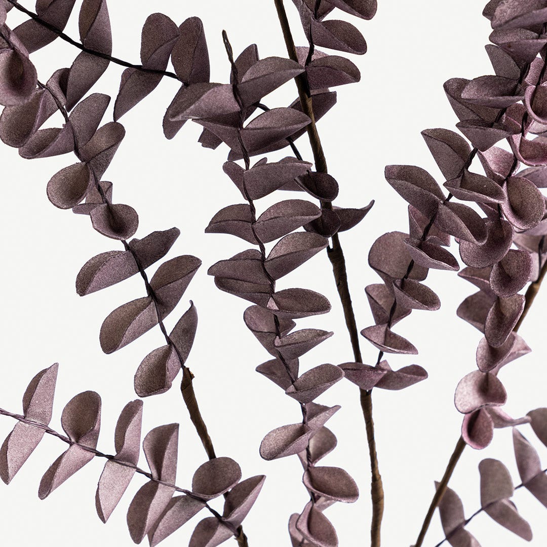 أوراق كافور - بنفسجي فاتح