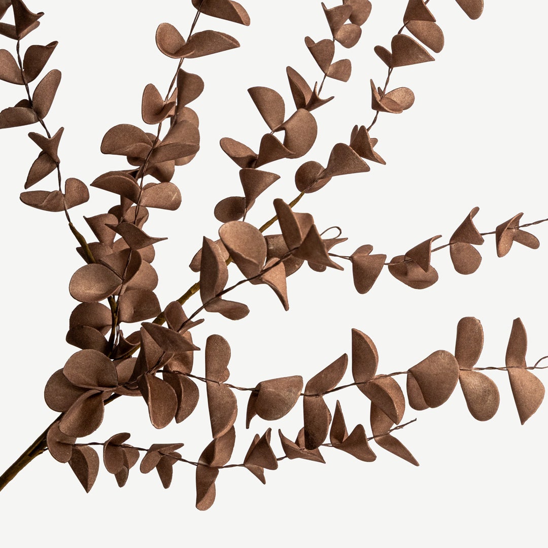 Eucalyptus Leaves - Mocha