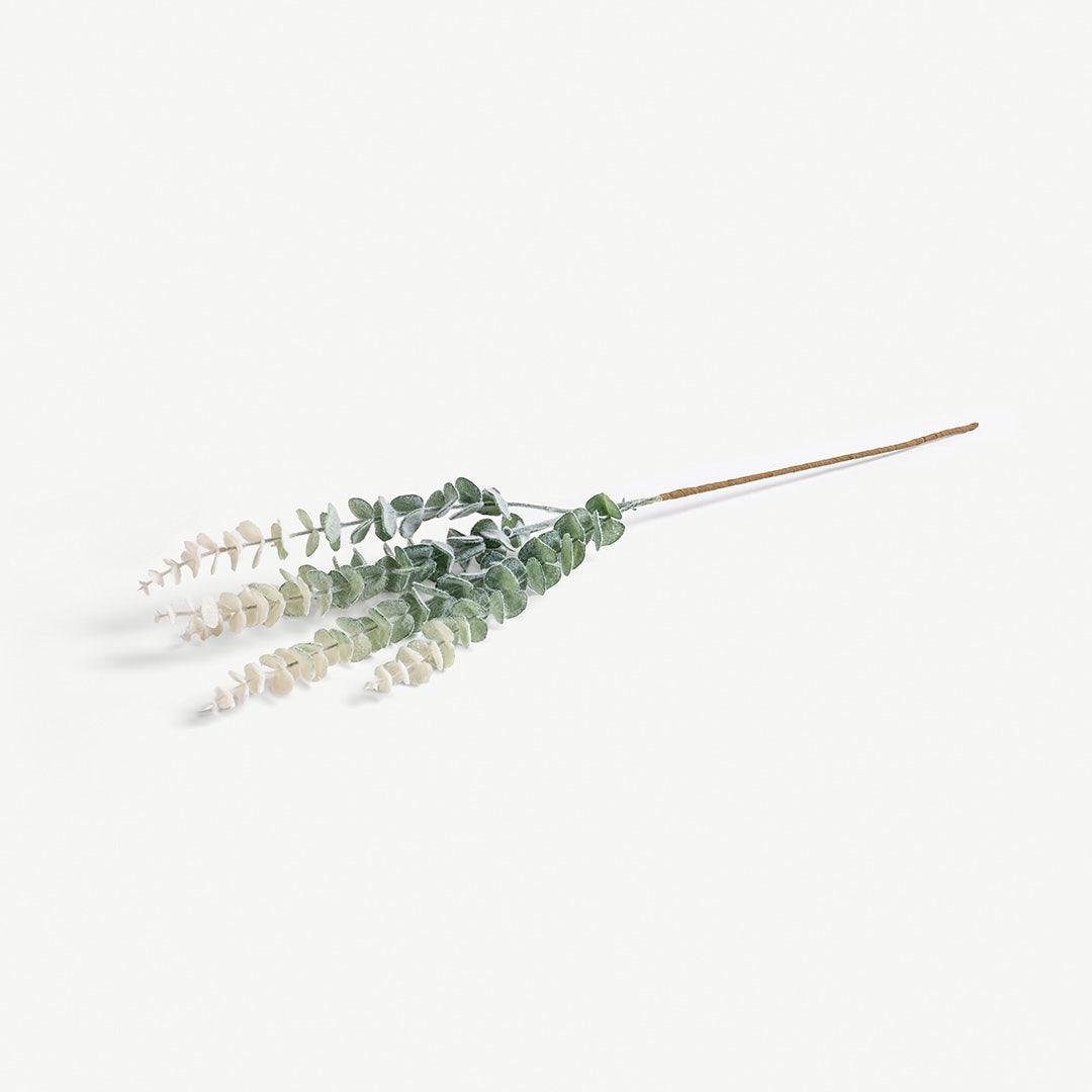 Eucalyptus Leaves -Pastel Green