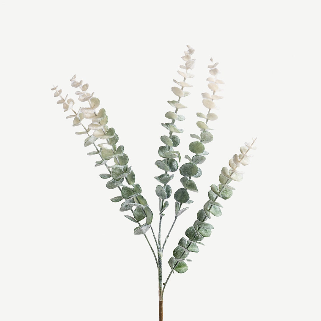 Eucalyptus Leaves -Pastel Green