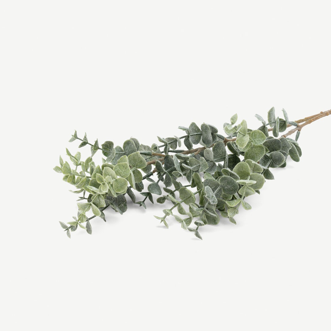 Eucalyptus Pastel Green