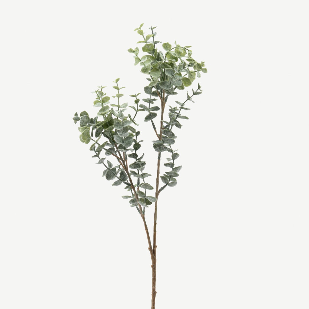 Eucalyptus Pastel Green