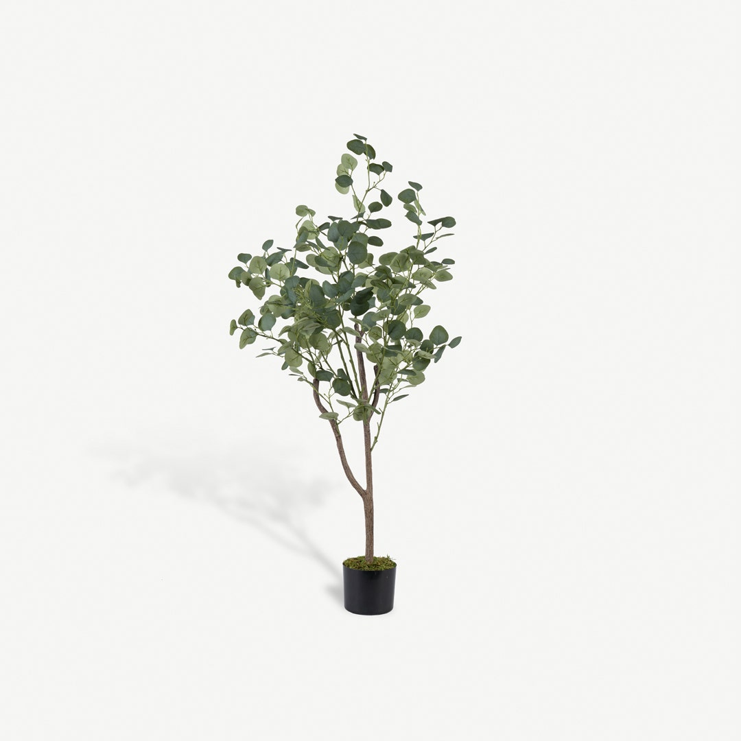 Eucalyptus Tree with Pot 120cm