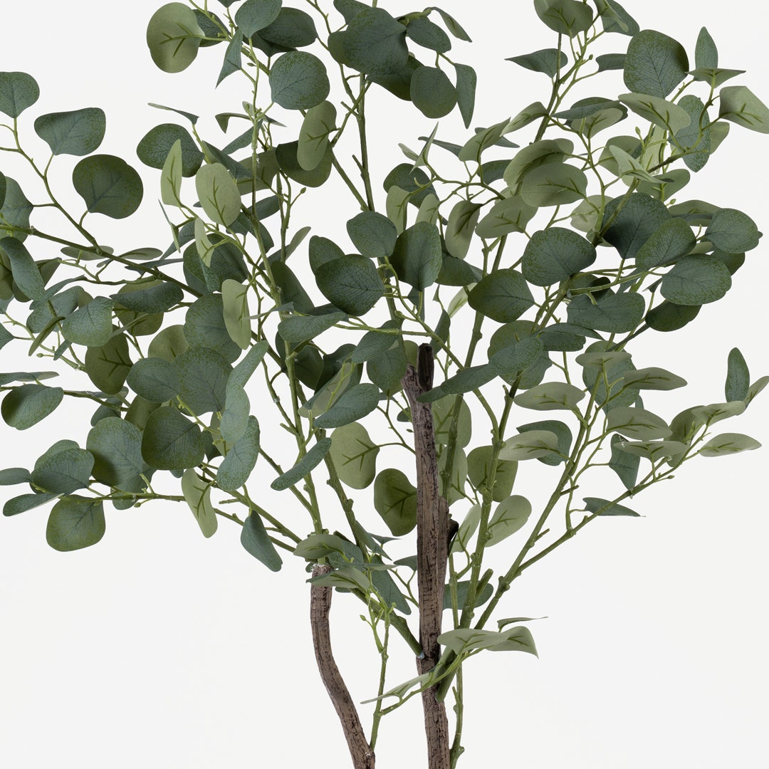 Eucalyptus Tree with Pot 120cm