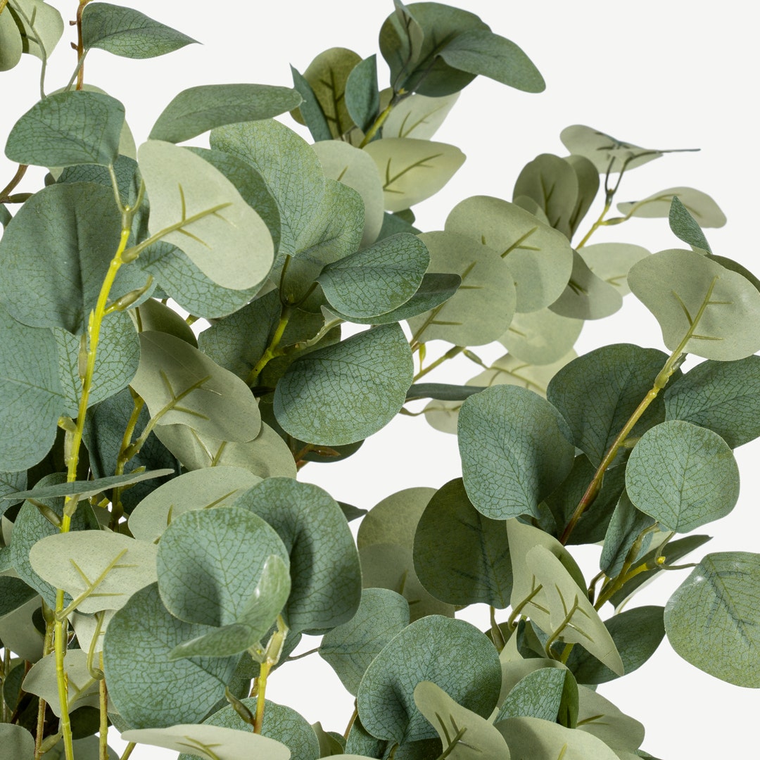 Eucalyptus Tree With Pot 180cm