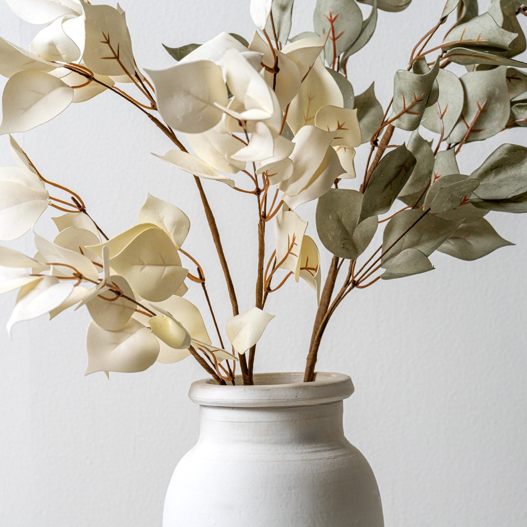 Euphorbia Leaves -White