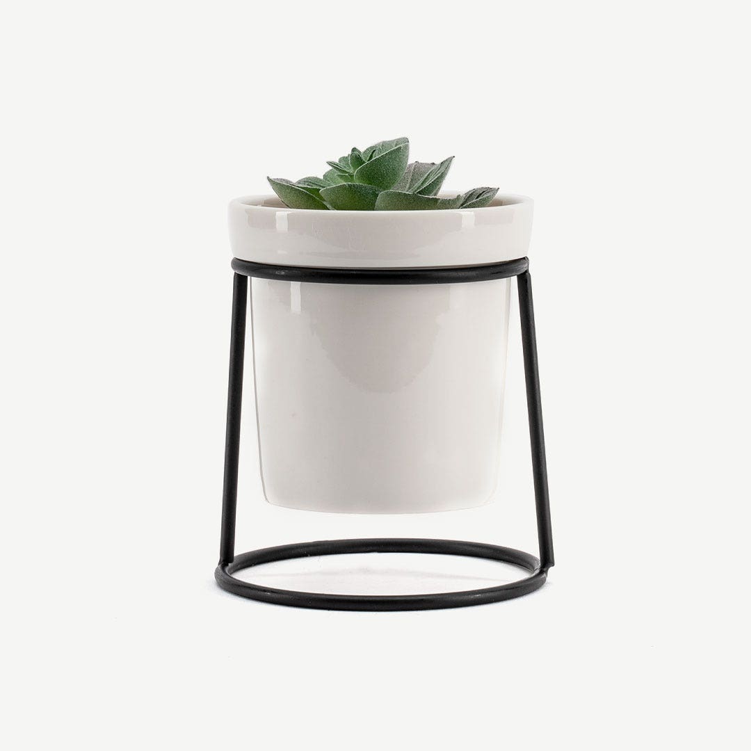 Fiona Planter 8x10.3cm