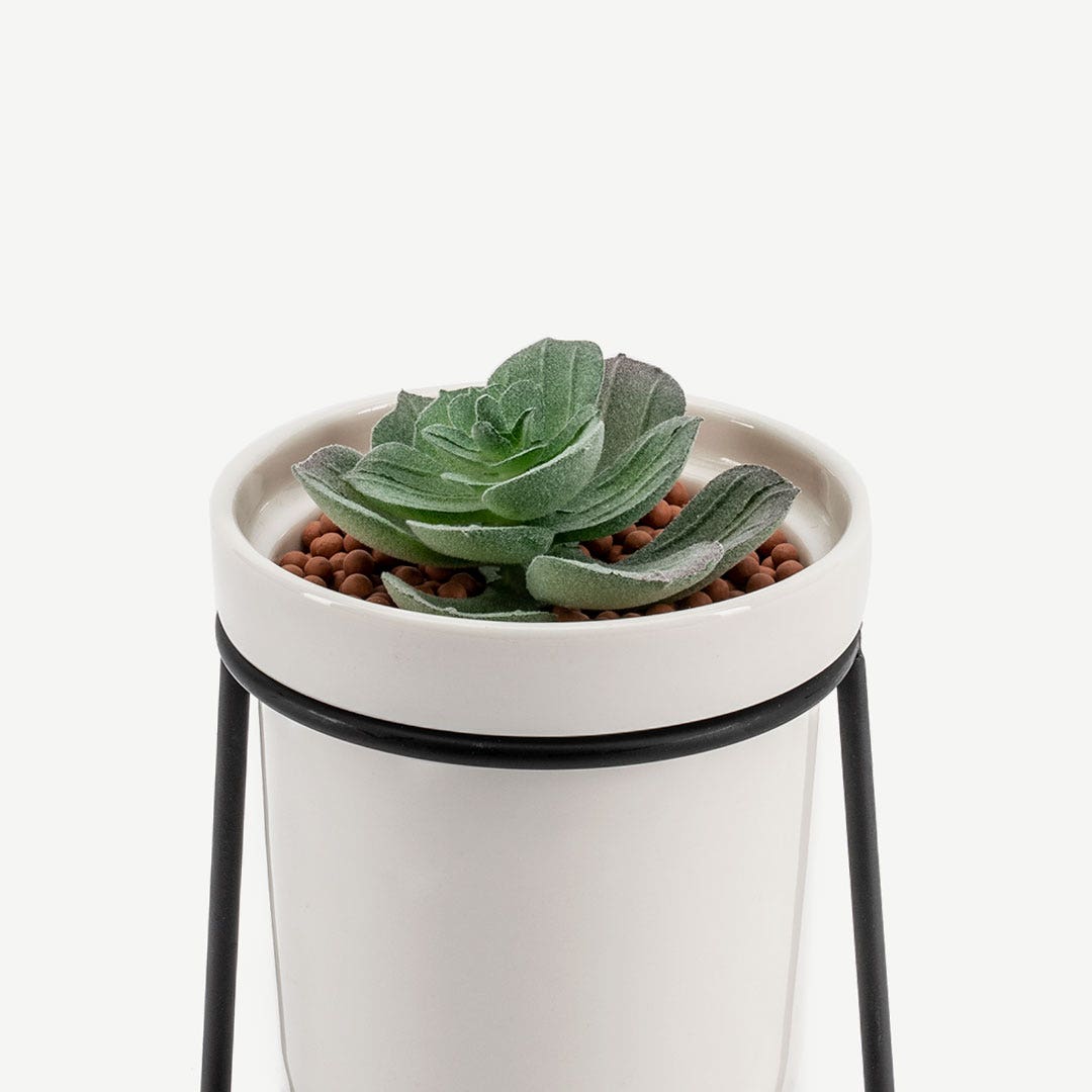 Fiona Planter 8x10.3cm