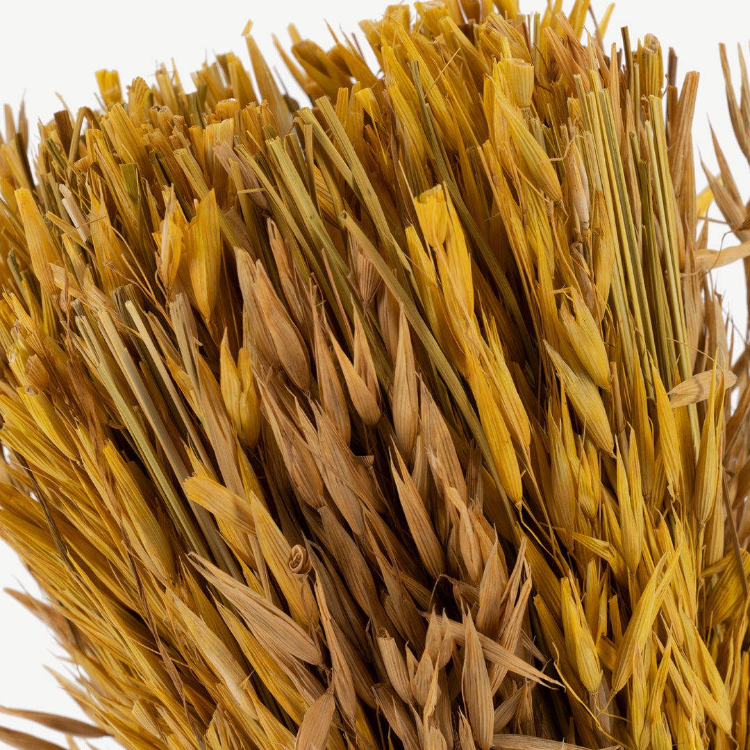 Grassy Dried Harvest Bunch-Yellow