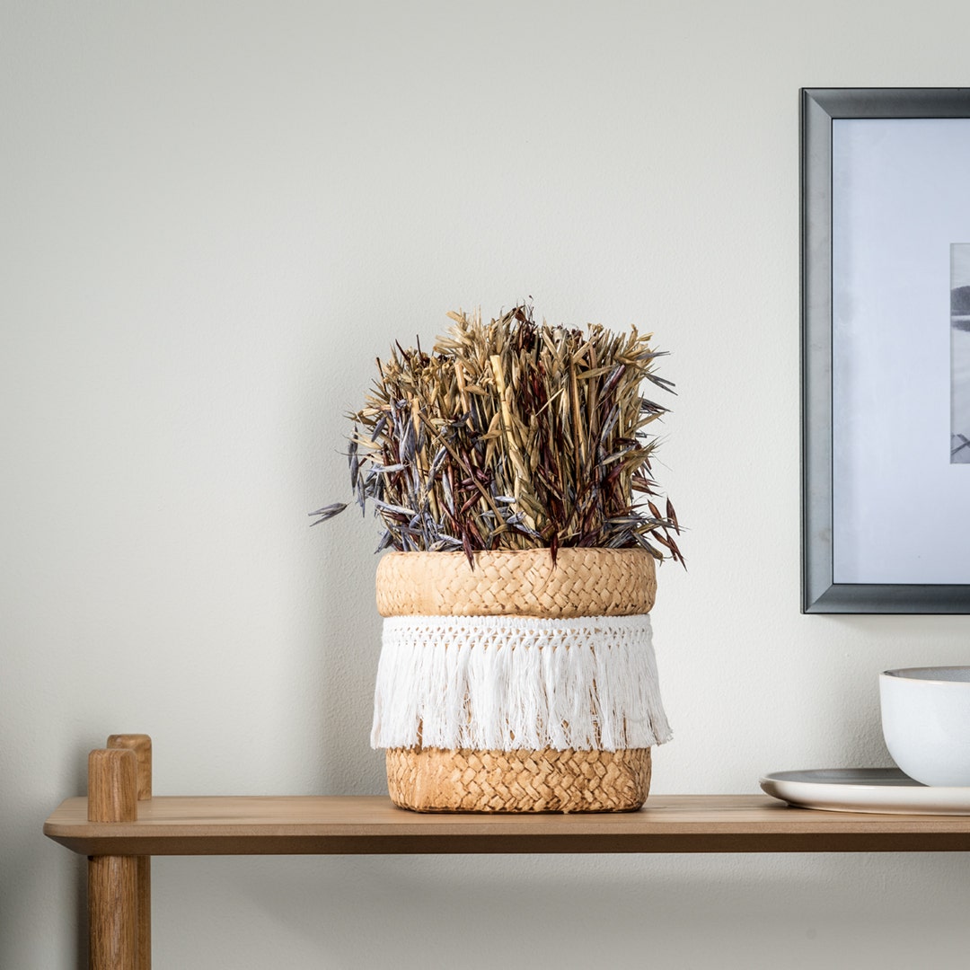 Grassy Dried Hawana Harvest Bunch