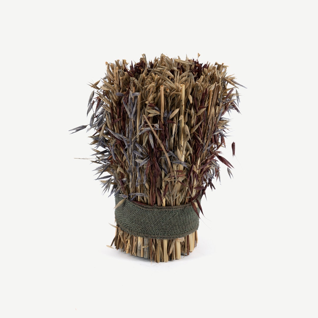 Grassy Dried Hawana Harvest Bunch