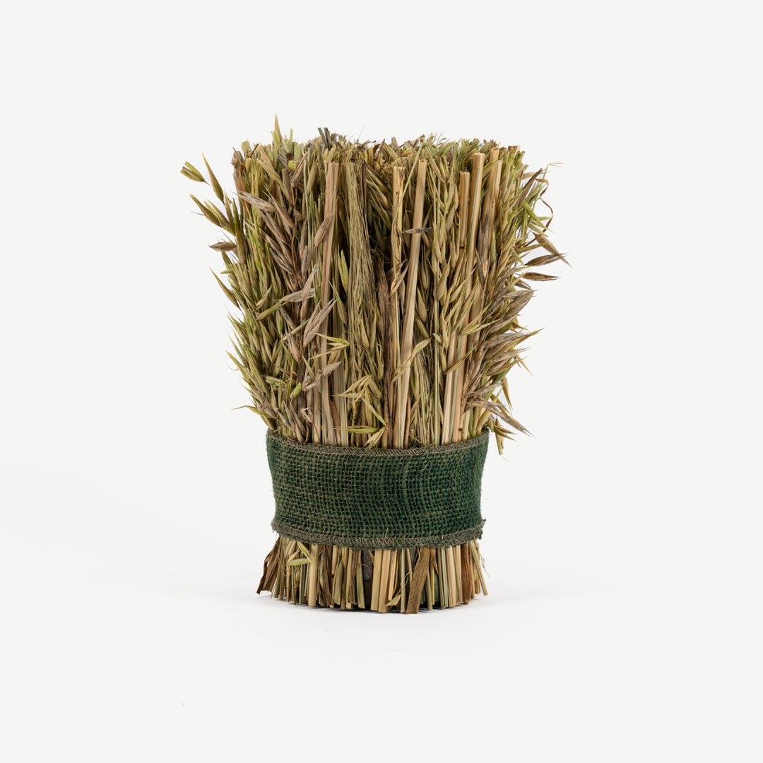 Grassy Dried Hawana Harvest Bunch-Green