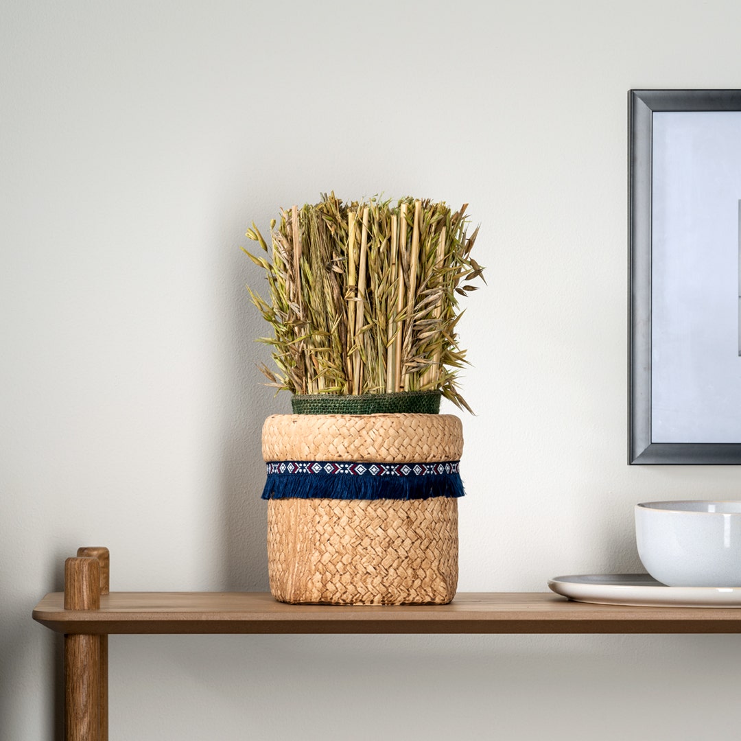 Grassy Dried Hawana Harvest Bunch-Green