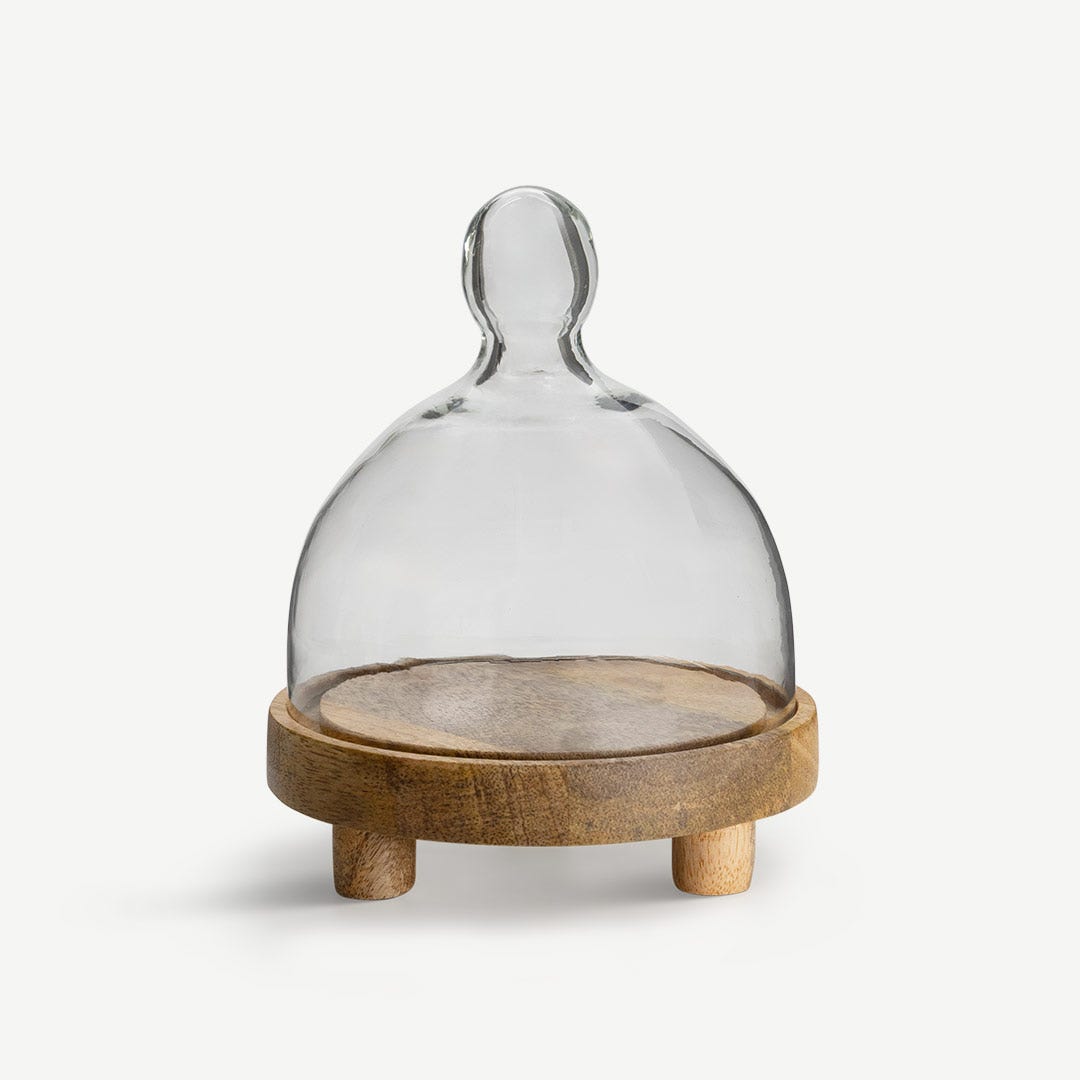 Hazel Cake Dome - 14x17.5cm