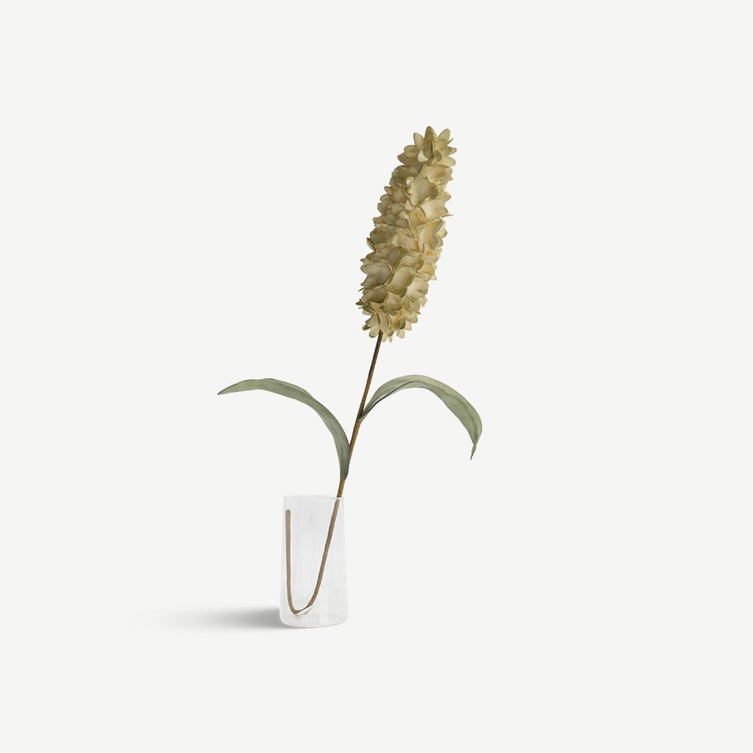 Hyacinth Flower Stem -Cream