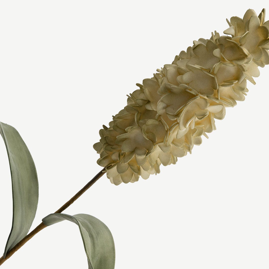 Hyacinth Flower Stem -Cream