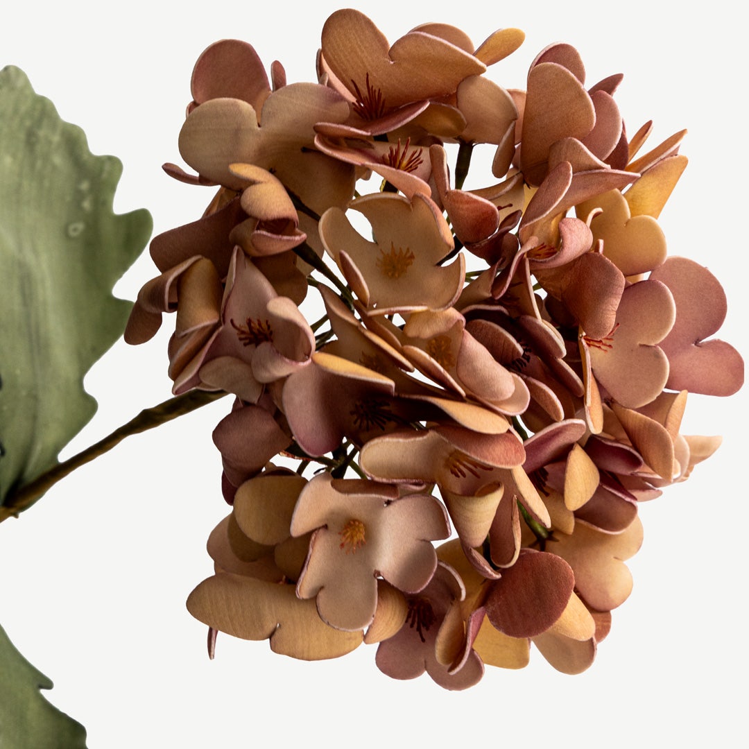 Hydrangea Flower - Pink