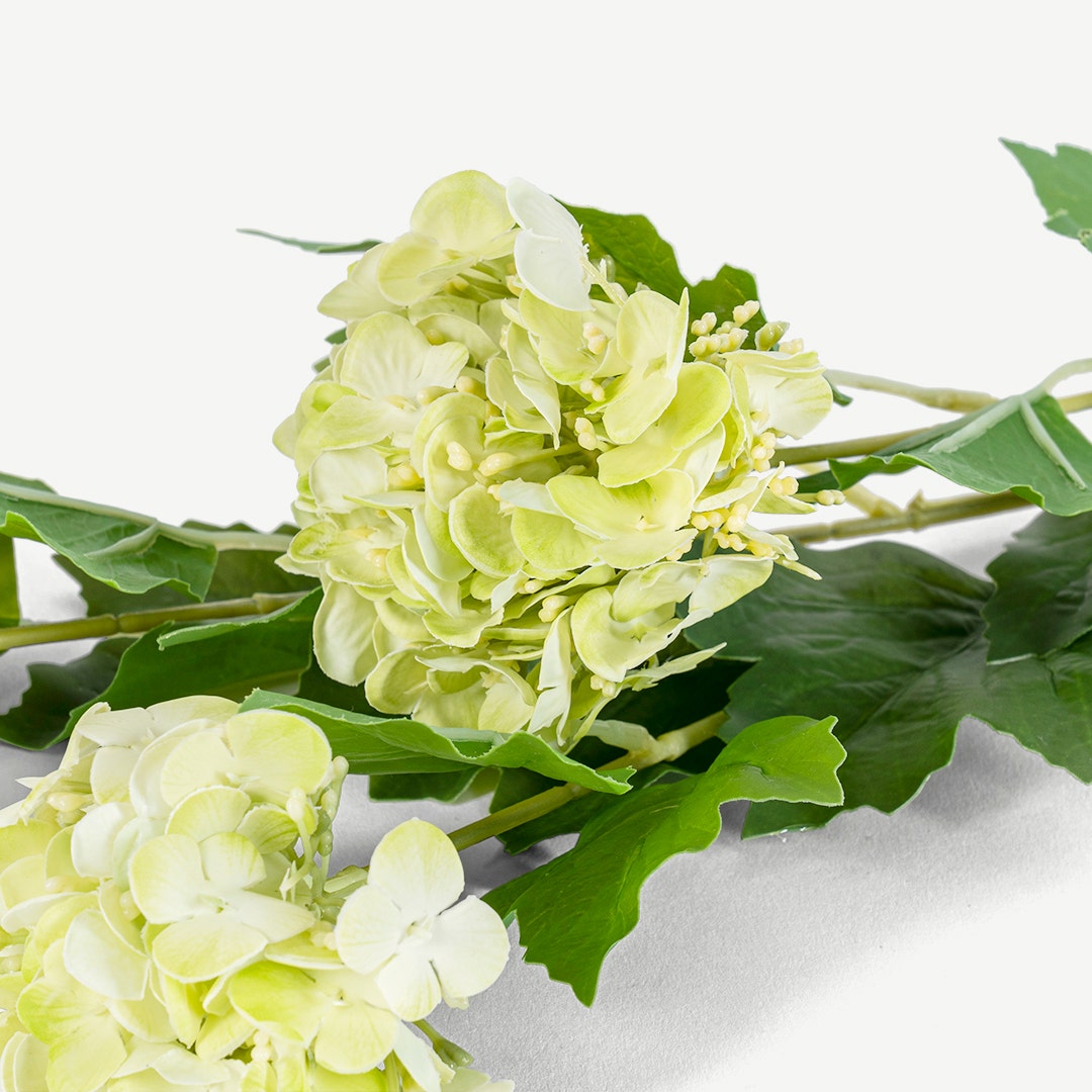 طقم زهور الكوبية أخضر فاتح