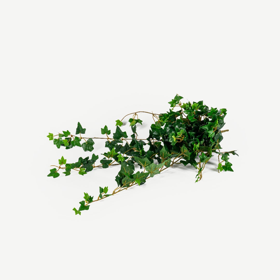 Ivy Hanging 60cm
