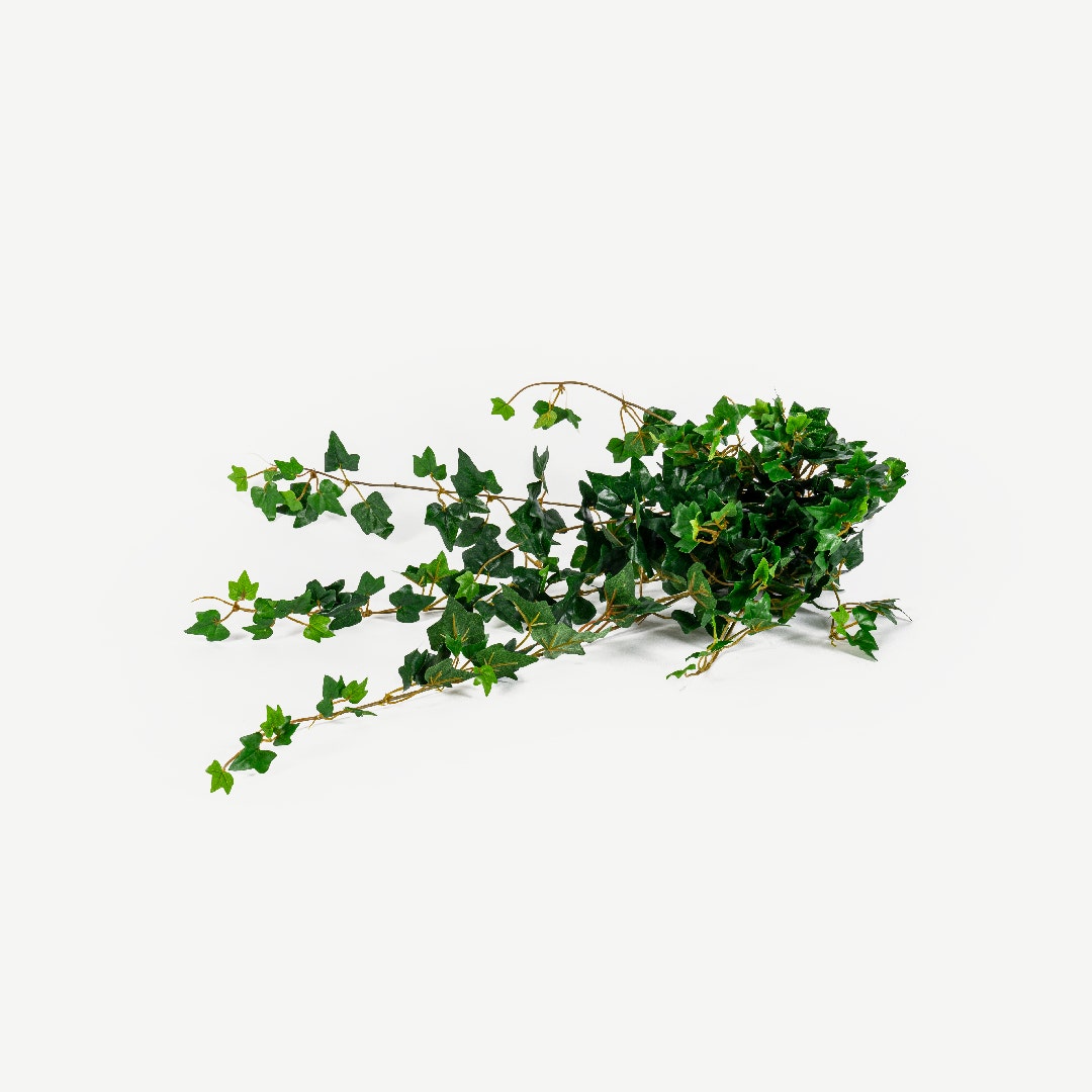 Ivy Hanging 60cm