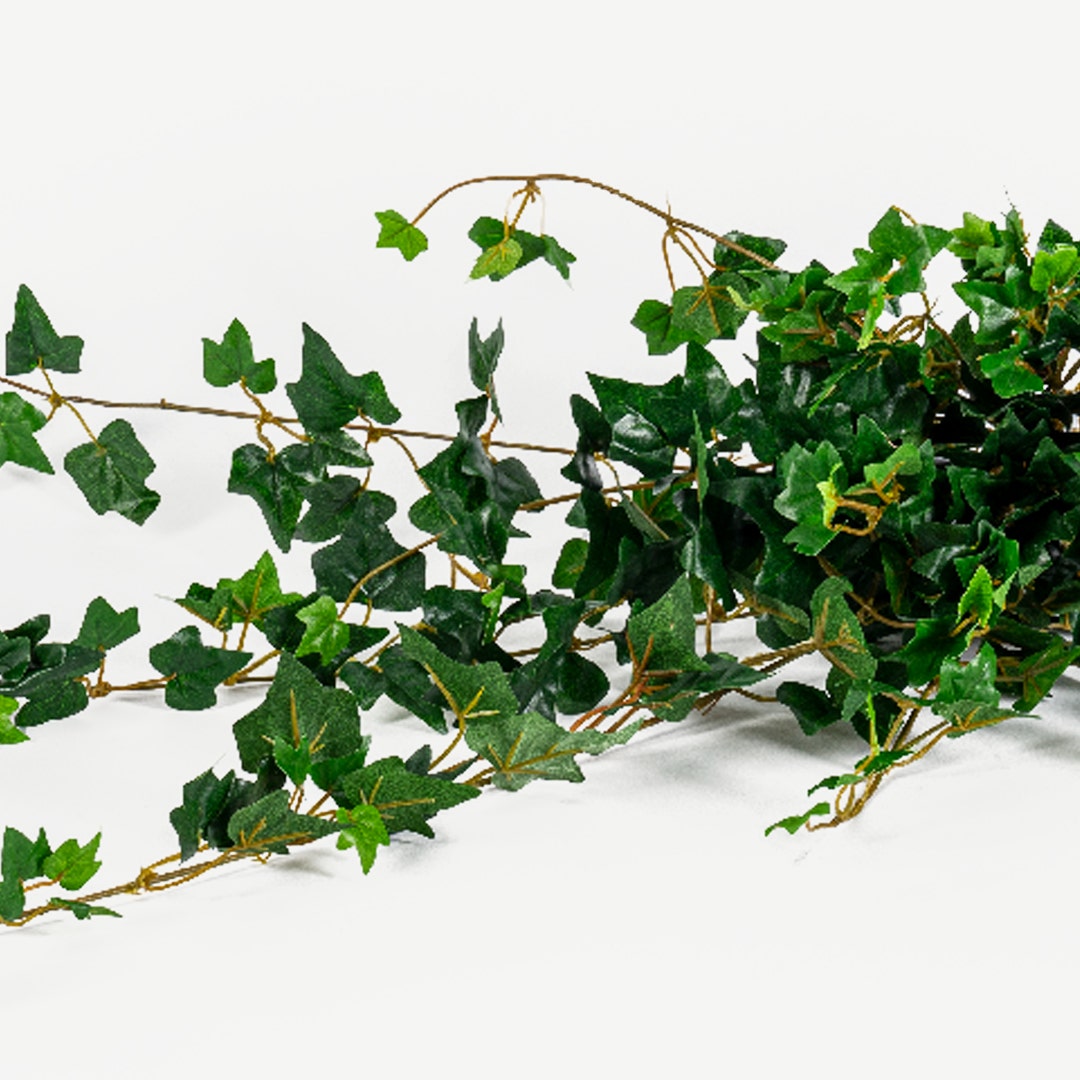 Ivy Hanging 60cm