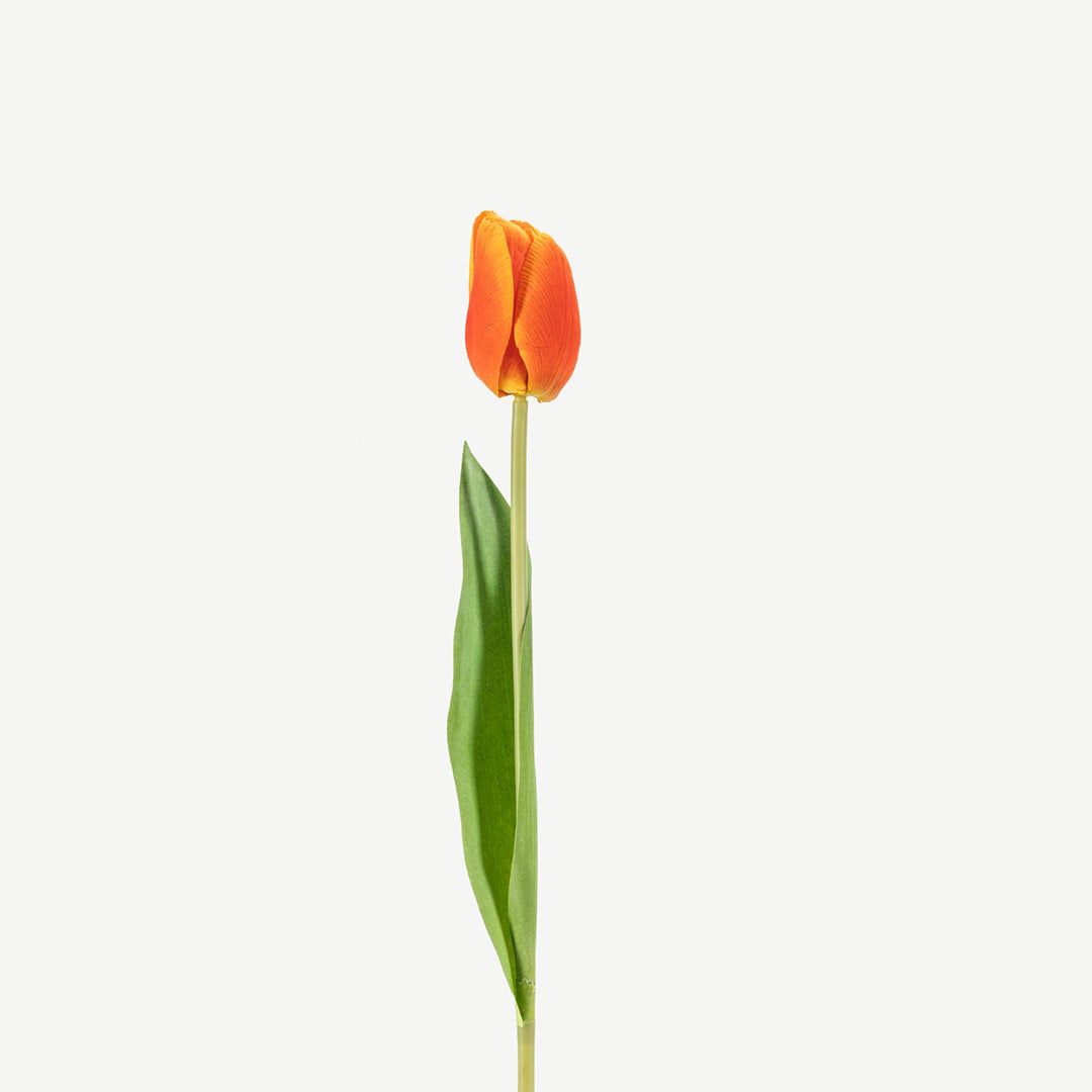 Lafite Real Touch Tulip Flower Orange