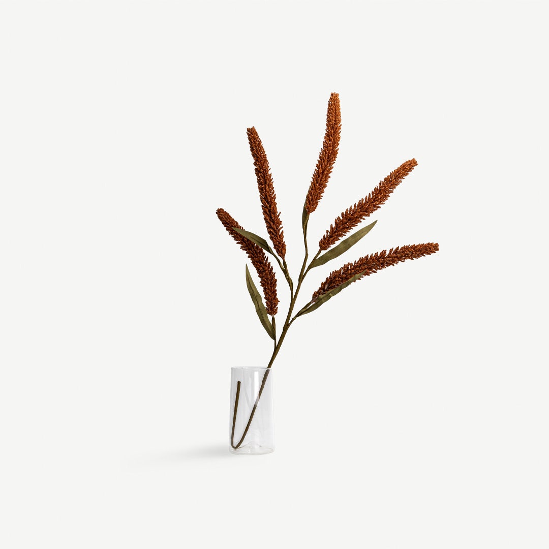 Lavender - Terracotta