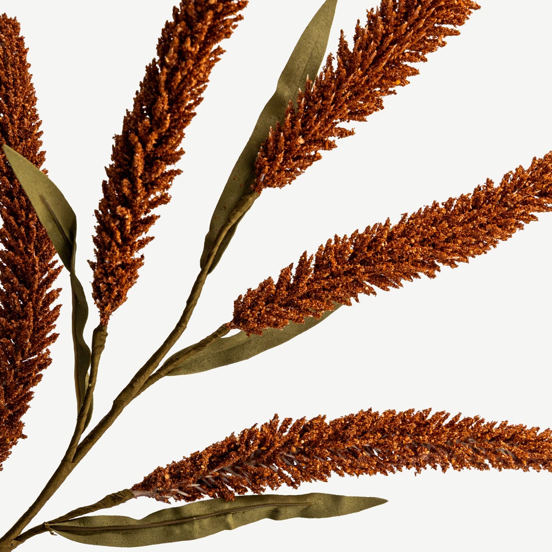 Lavender - Terracotta