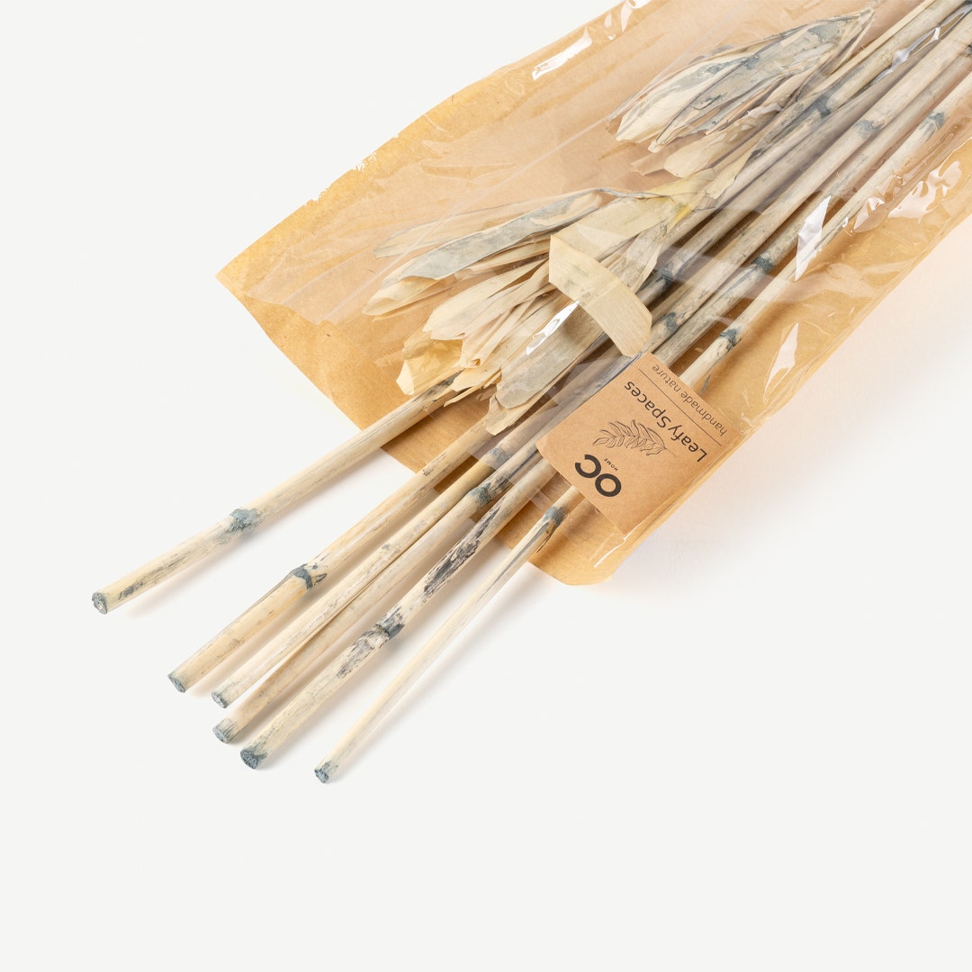 Licia Fire Leaves Bouquet