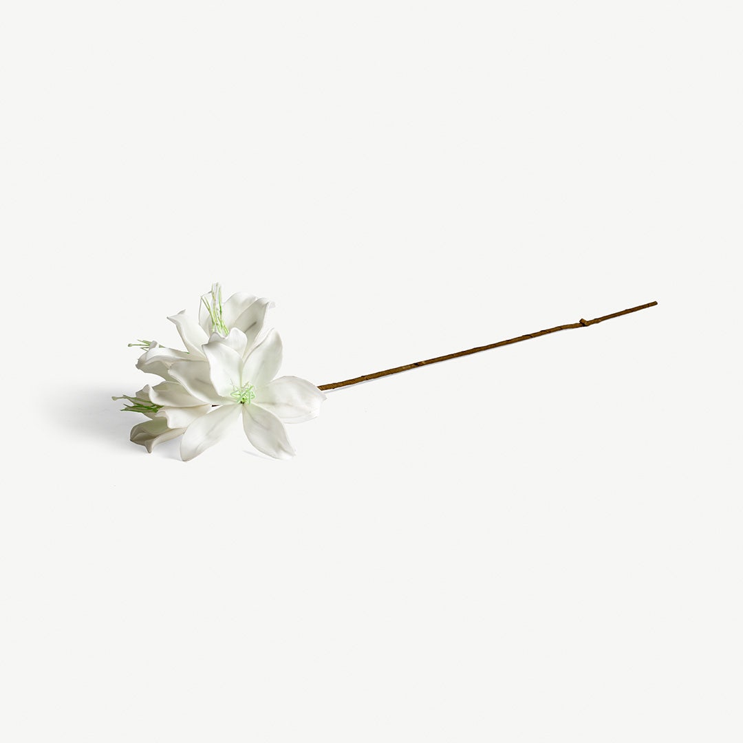 Lily Flower Stem -White