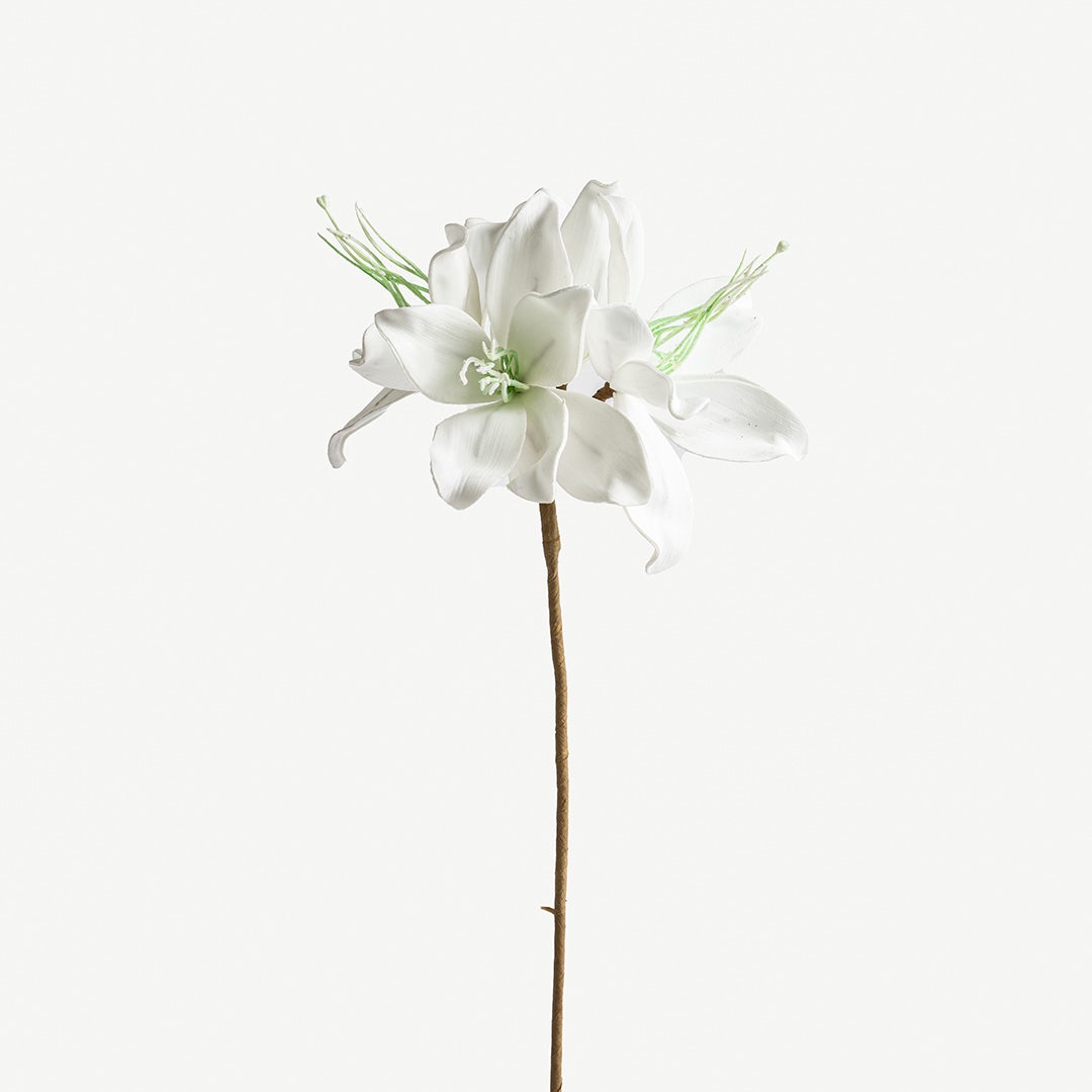Lily Flower Stem -White