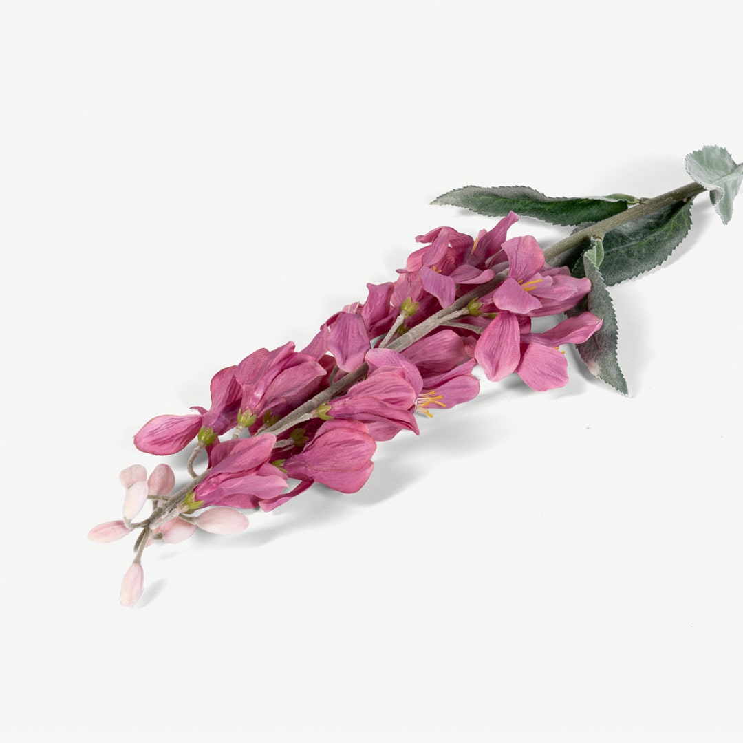 Locust Flower Dusty Pink