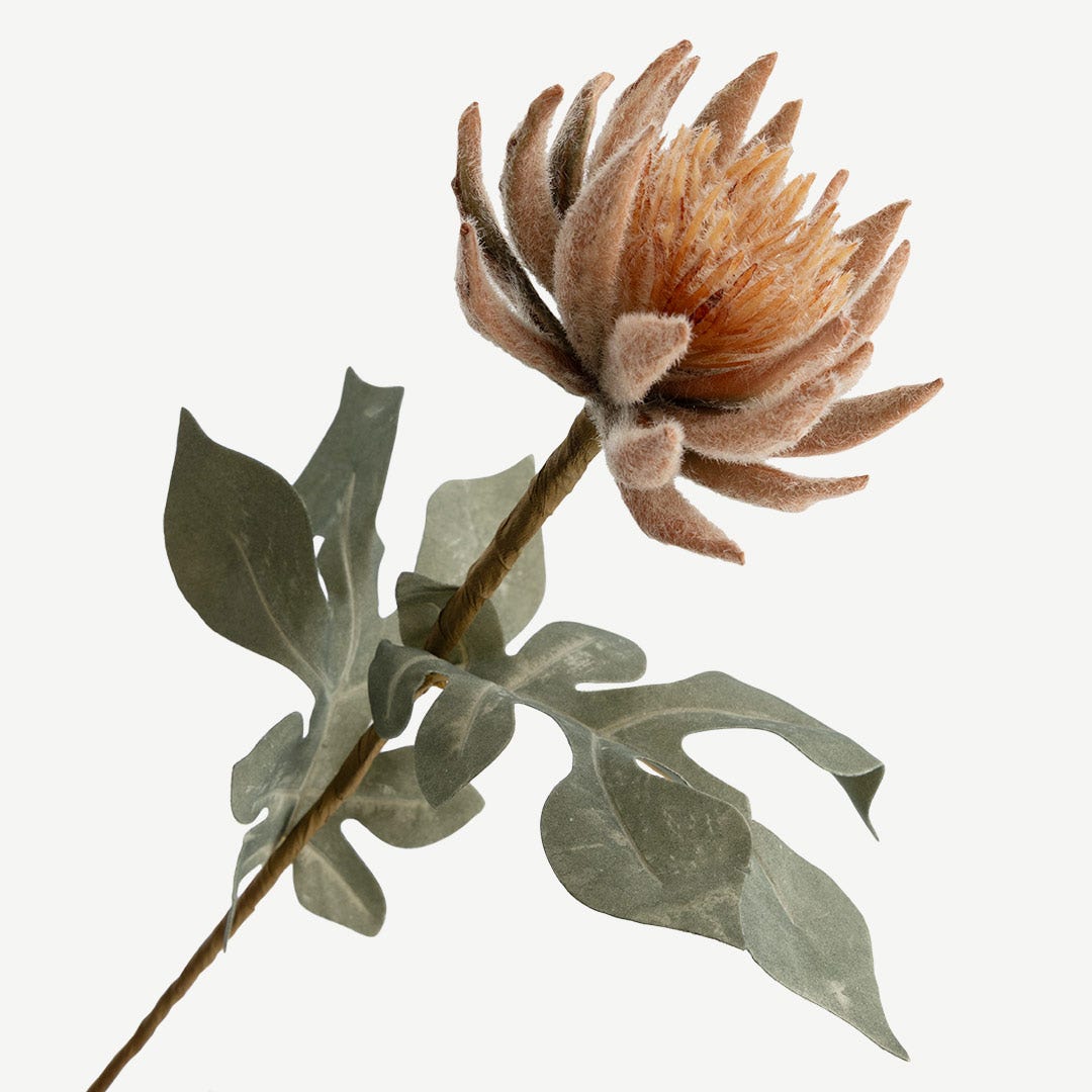 Lotus Flower - Orange