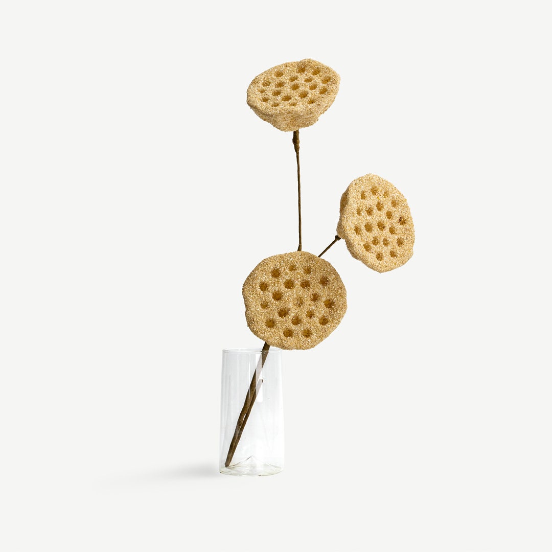 Lotus Seedpod - Beige