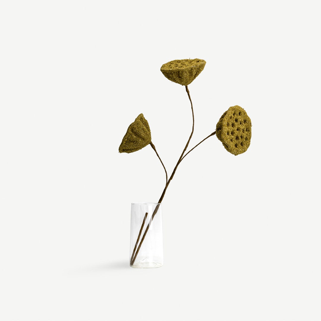 Lotus Seedpod - Olive Green