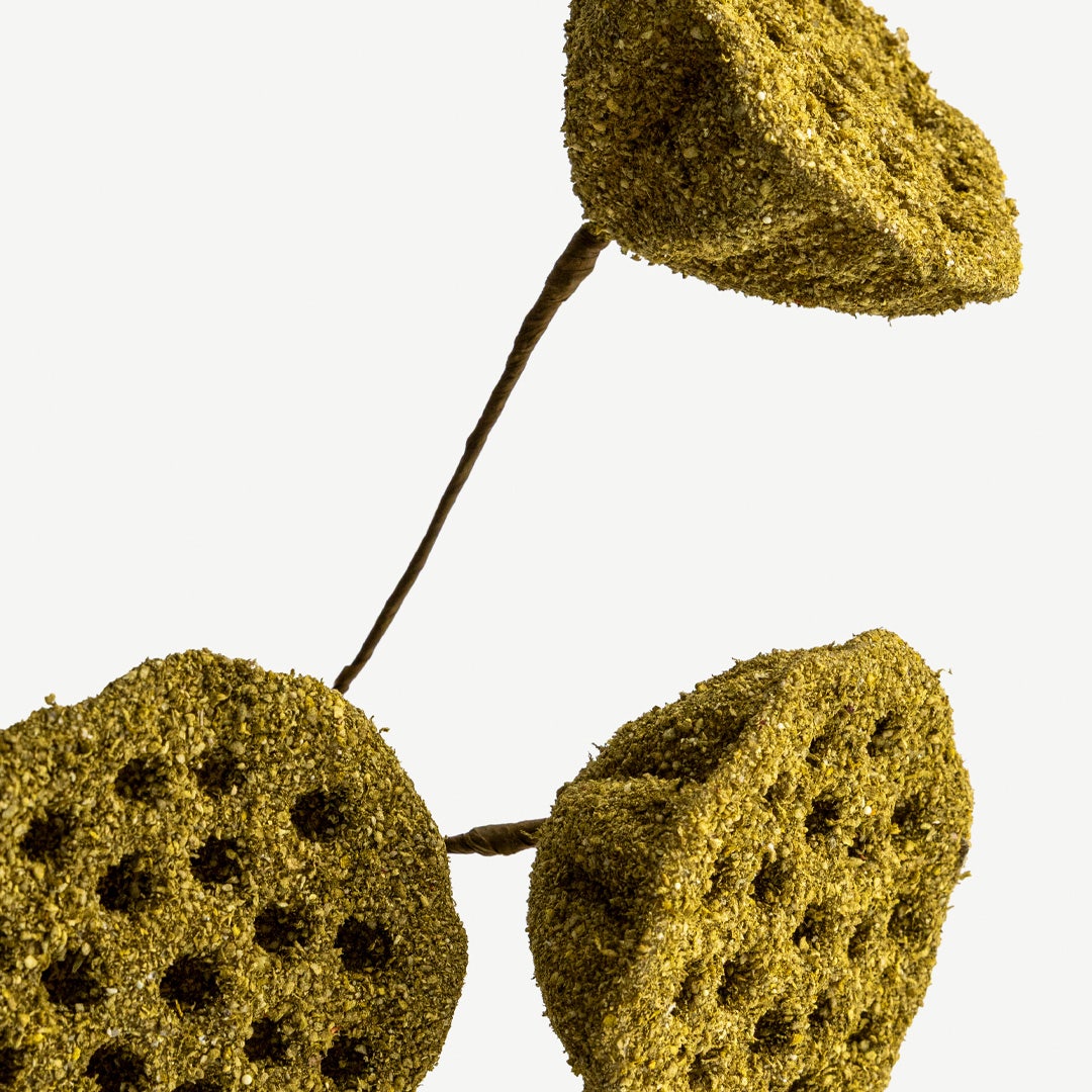 Lotus Seedpod - Olive Green