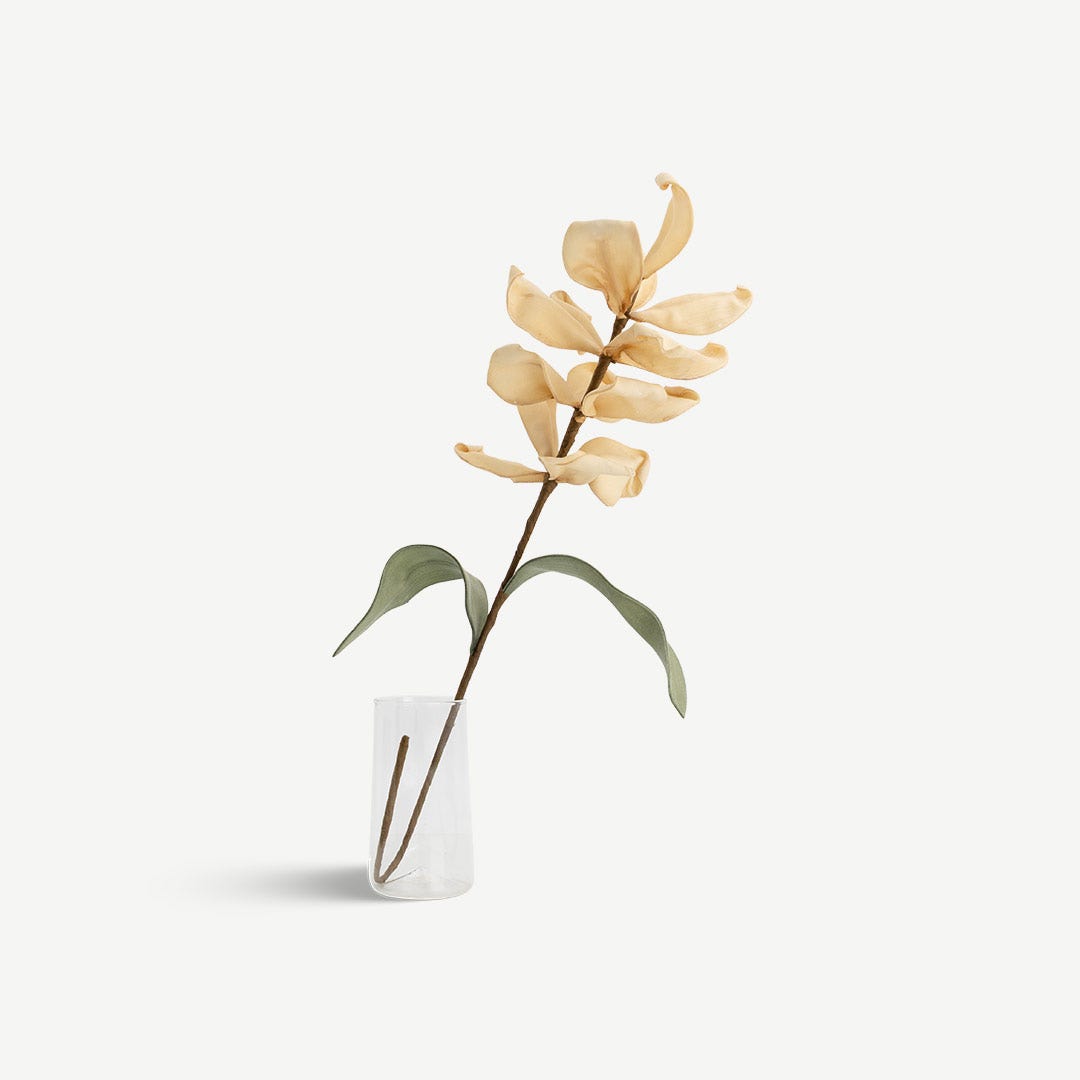 Magnolia Flower - Beige