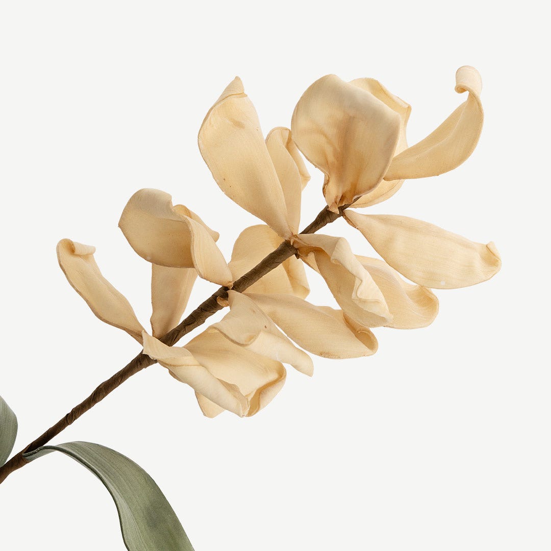 Magnolia Flower - Beige