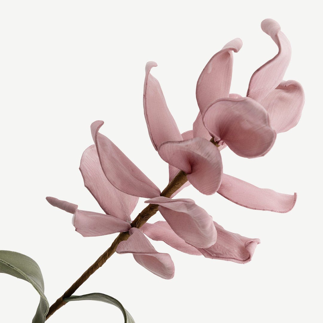Magnolia Flower - Pink