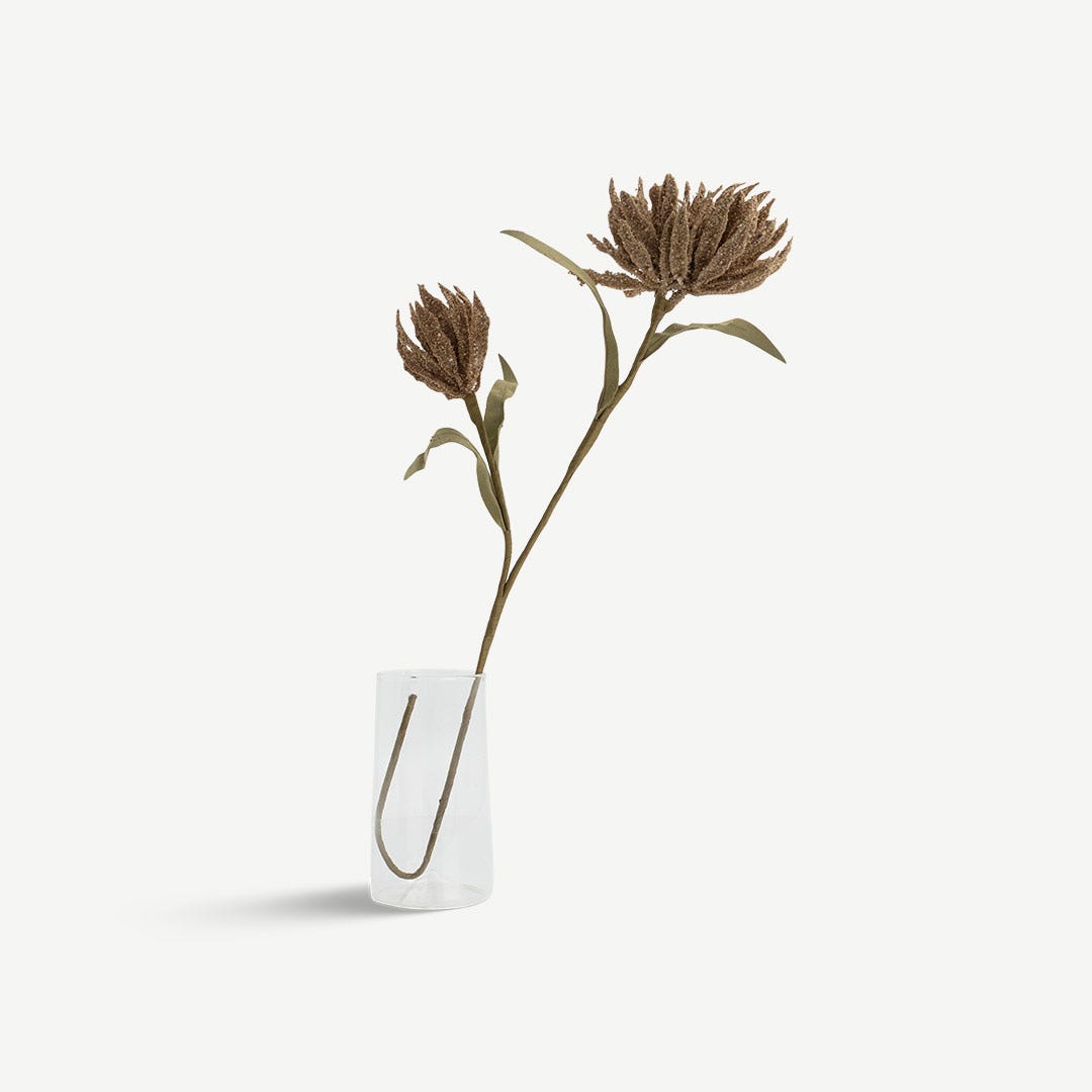 Narcissus Stem - Brown