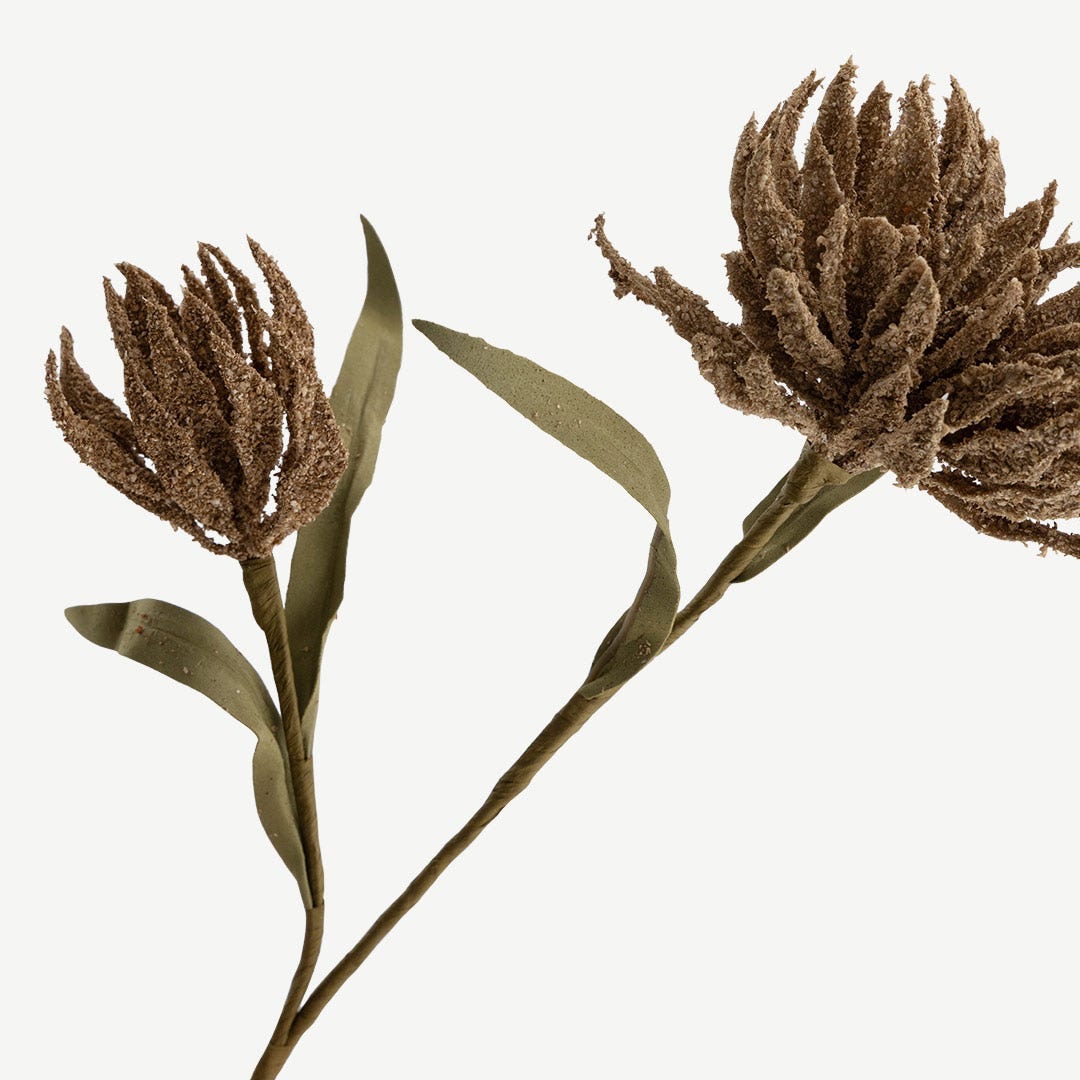 Narcissus Stem - Brown