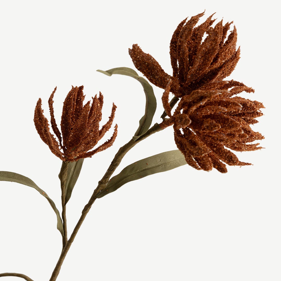 Narcissus Stem - Terracotta