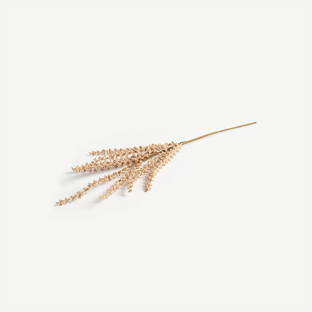 Pampas Grass -Beige
