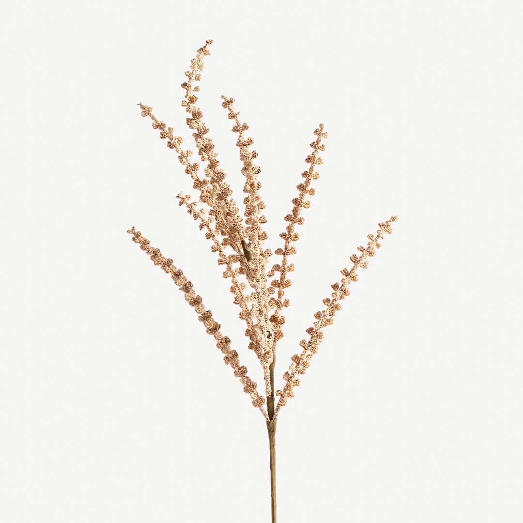 Pampas Grass -Beige