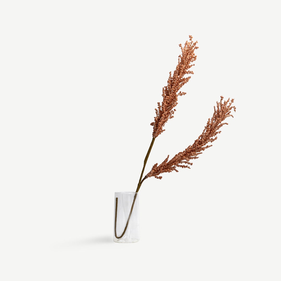 Pampas Grass - Orange