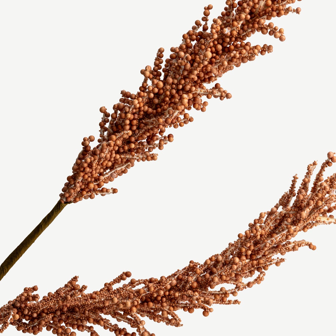 Pampas Grass - Orange